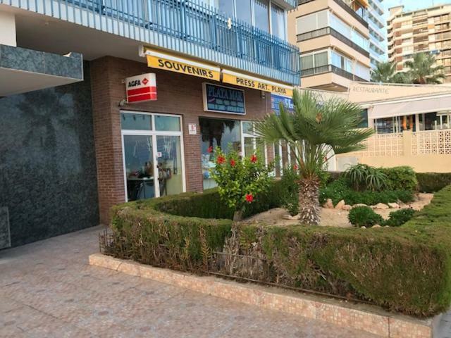 Apartmán Benidorm 1ª Linea Playa Levante, Garage, Wifi, Climatizacion Exteriér fotografie